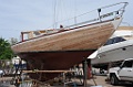 DSG_7800
