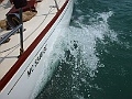 DSC00726